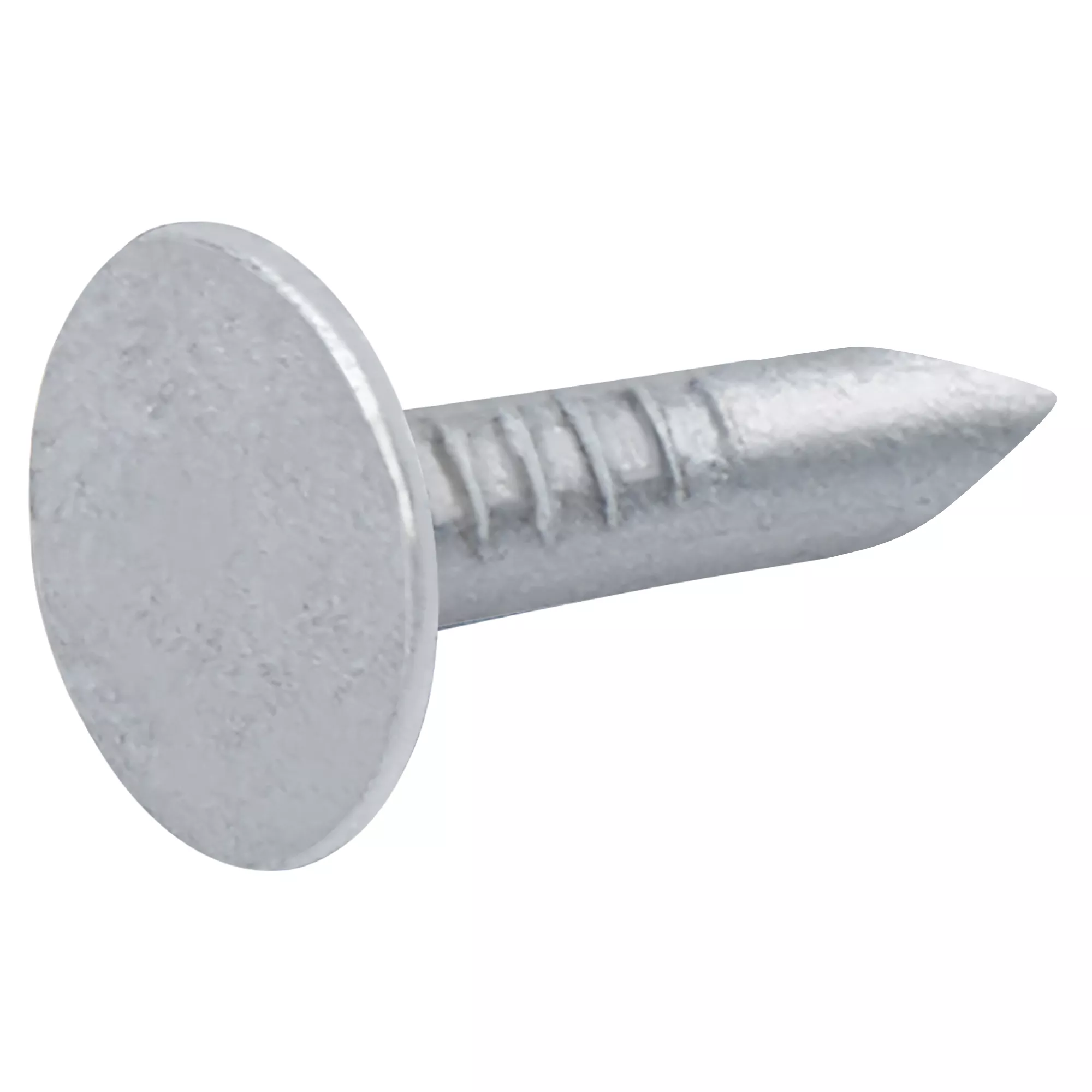 Diall Galvanised Clout Nail (L)12mm (Dia)3mm 2kg 2 Diall Galvanised Clout Nail (L)12mm (Dia)3mm 2kg - Image 2